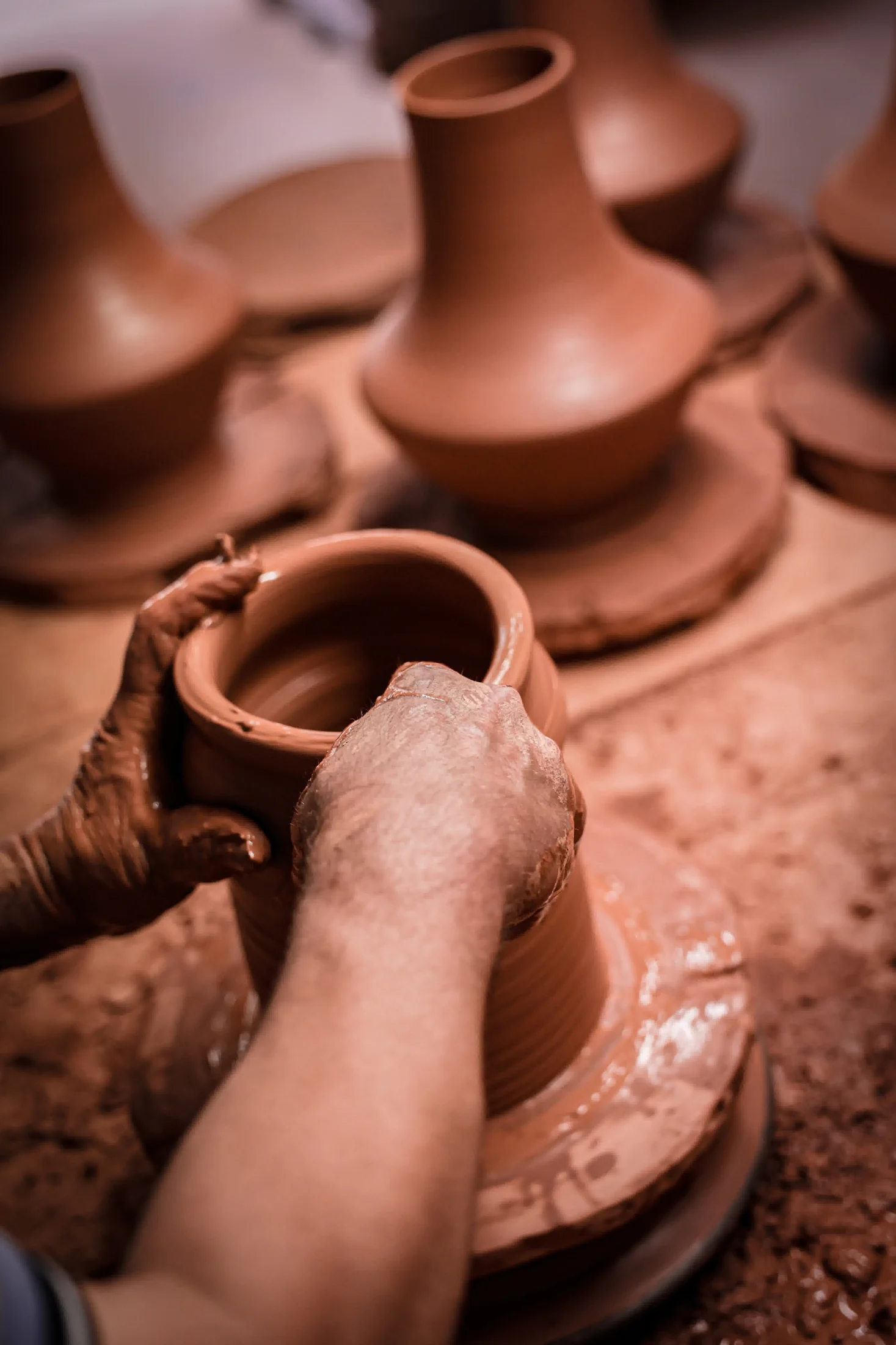 Rustic terracotta vases with fresh flowers